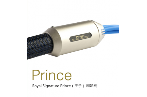 Royal Signature Prince 喇叭线