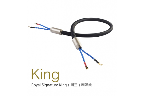 Royal Signature King喇叭线